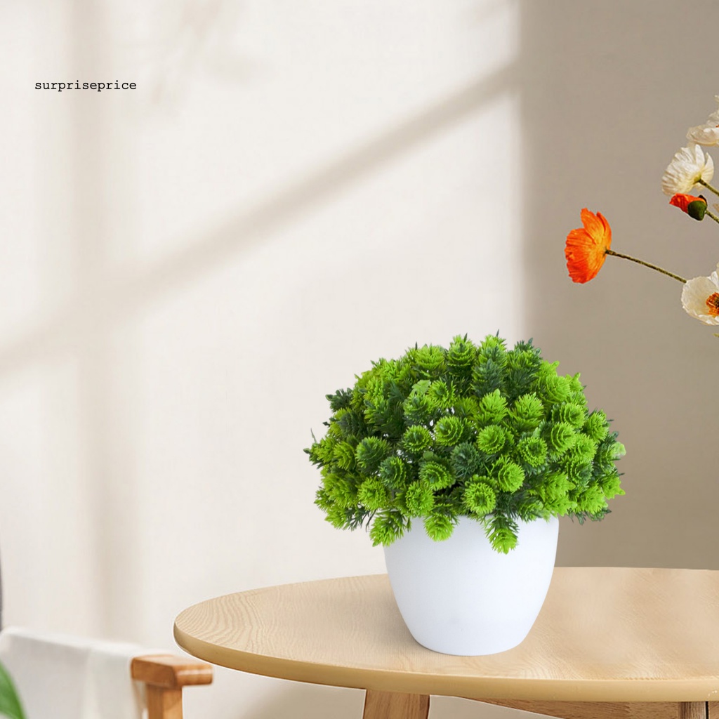 Chậu Cây Bonsai Giả Trang Trí Văn Phòng