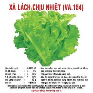 Hạt giống XÀ LÁCH CHỊU NHIỆT