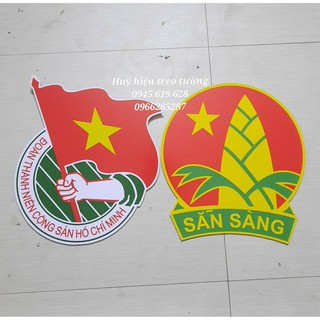 Huy hiệu đội treo tường, huy hiệu đoàn treo tường giá rẻ