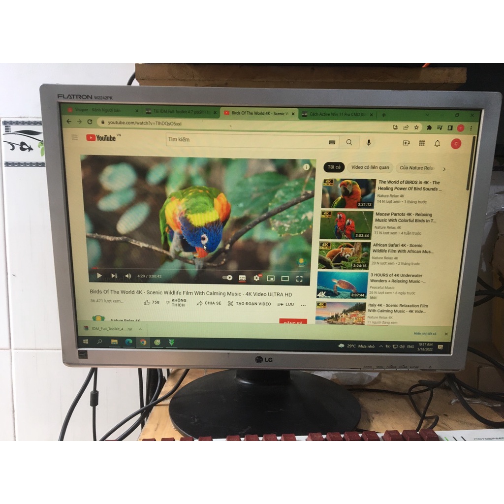 Màn Hình LG 22 Inch