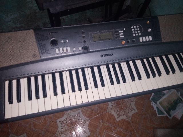 Đàn ocgan nhật bãi