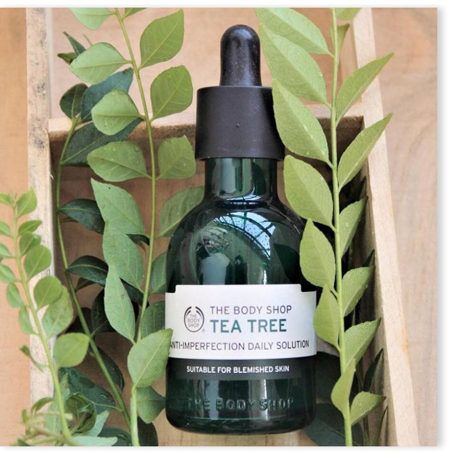 [Mã giảm giá] Tinh Chất Loại Bỏ Khuyết Điểm Và Tình Trạng Mụn - The Body Shop Tea Tree Anti-Imperfection Daily Solution