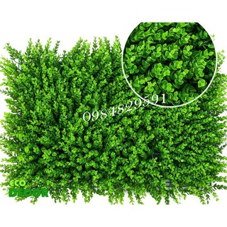 Thảm Cỏ Tai Chuột Nhựa PVC Trang Trí Hàng Chuẩn Loại 1