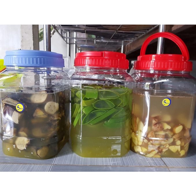 330ml GE gừng- kích rễ lan không hại cây, rễ ra nhanh tua tủa,kích kie kích mầm cho cây, giữ ấm cho cây