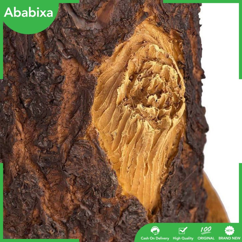 Bồn tắm resin cho chim tắm điêu tắc tượng thân cây và chú mèo trang trí sân vườn/bãi cỏ