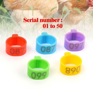 Set 50 Vòng Đệm Chân Vịt/Gà/Vịt 6 Màu Bằng Nhựa 01-50 16mm