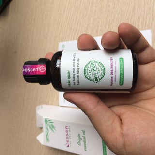 Tinh dầu Tràm Gió Cajeput Cao Cấp [Trợ giá 50%]