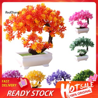 Chậu Cây Bonsai Giả Để Bàn Trang Trí Nhà Cửa