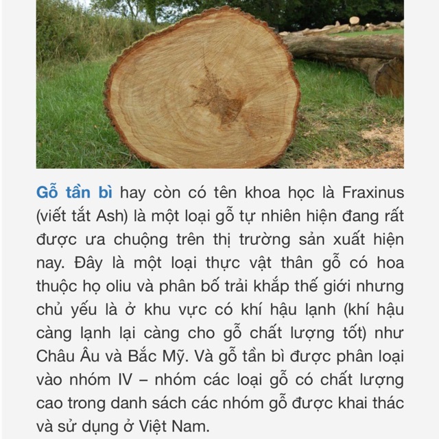 [XƯỞNG TIỆN] Chân bàn gỗ tần bì nhập khẩu tiện CNC kèm đế thép dạng ống lồng sơn tĩnh điện chịu lực cao.