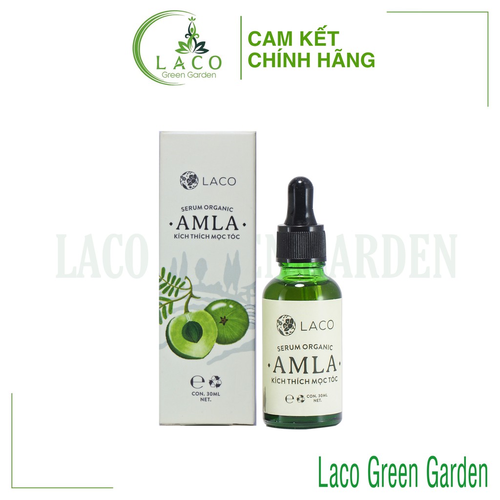 Serum kích thích mọc tóc AMLA LACO kích mọc tóc hiệu quả