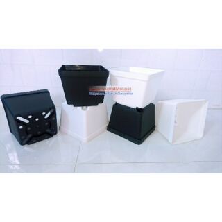 Chậu nhưa vuông 14x14x14cm set 20 cái