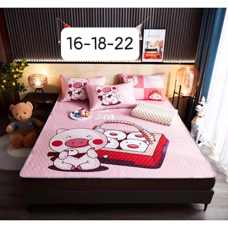 Chiếu điều hoà cao su non 5D LATEX chất vải tenscel mềm mịn ( tặng kèm 2 vỏ gối cùng bộ)