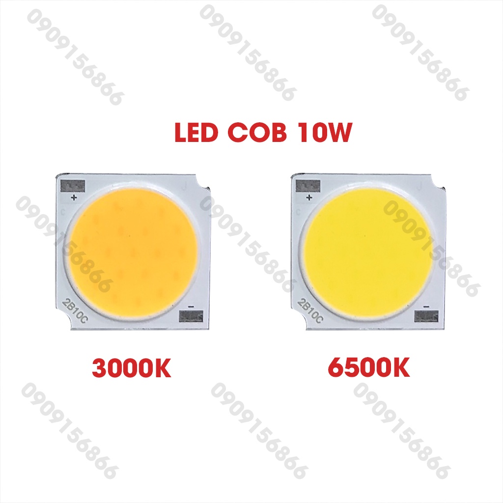 Mắt led cob 10W