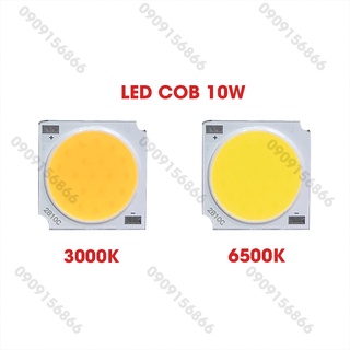 Mắt led cob 10W / Kích Thước 19MM