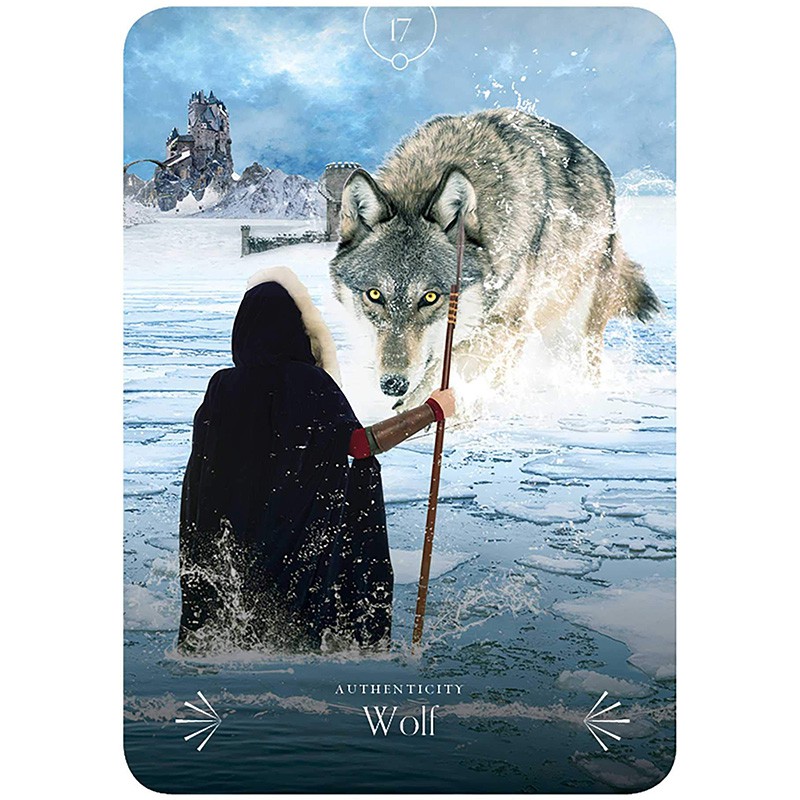 Bộ Bài Divine Animals Oracle (Mystic House Tarot Shop) - Bài Gốc Authentic Chính Hãng 100%