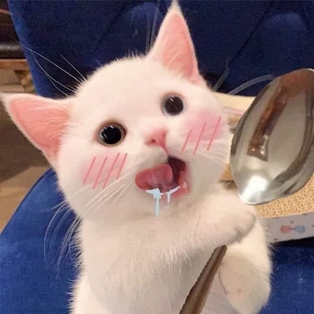 ZentMeoMeo, Cửa hàng trực tuyến | BigBuy360 - bigbuy360.vn