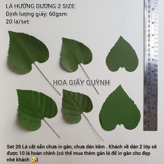 SET 20 LÁ GIẤY HƯỚNG DƯƠNG (không kẽm , không in gân)