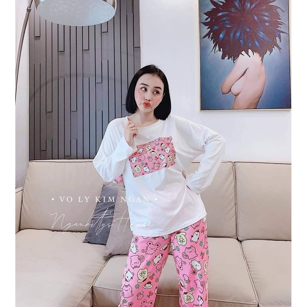 Đồ Bộ Thể Thao, Bao Đẹp, Chất Thun Cotton 100%, 3 size L, XL, XXL, 45kg đến 80kg vừa, BB0066