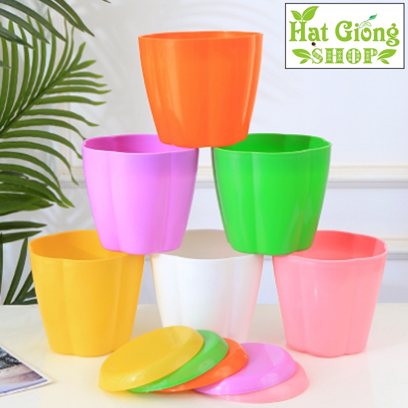Chậu nhựa tròn mini phù hợp trồng sen đá , xương rồng