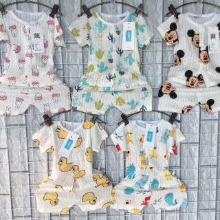 Combo bộ giấy các hình