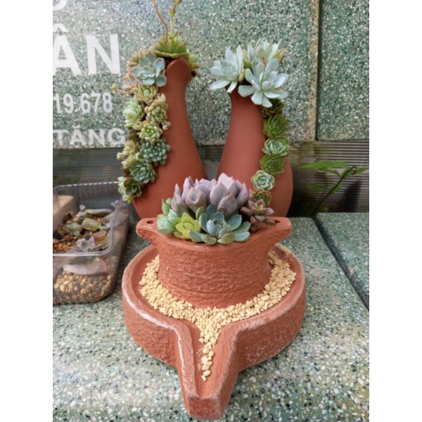 Chậu đất nung - chậu cối xay miệng 8cm, cao 9cm
