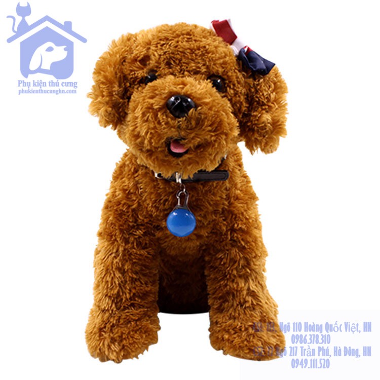 Móc cổ đèn led chống đi lạc ban đêm cho chó mèo - Phụ kiện thú cưng Hà Nội