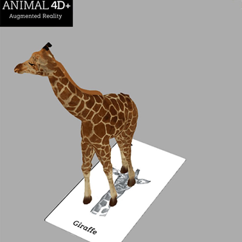 Bộ Thẻ Animal 4D+ Hình Ảnh Con Vật Sinh Động - Thúc Đẩy Trí Thông Minh, Khả Năng Sáng Tạo Cho Bé