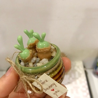 Chậu sen đá tai thỏ xanh lá cây, sen đá đất sét handmade
