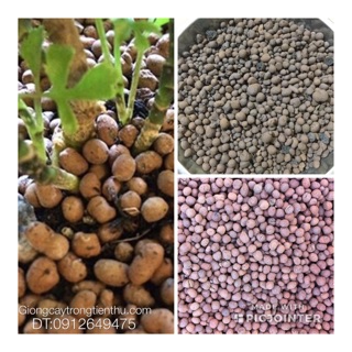 ĐẤT NUNG (SỎI NHẸ) TRỒNG CÂY 1kg