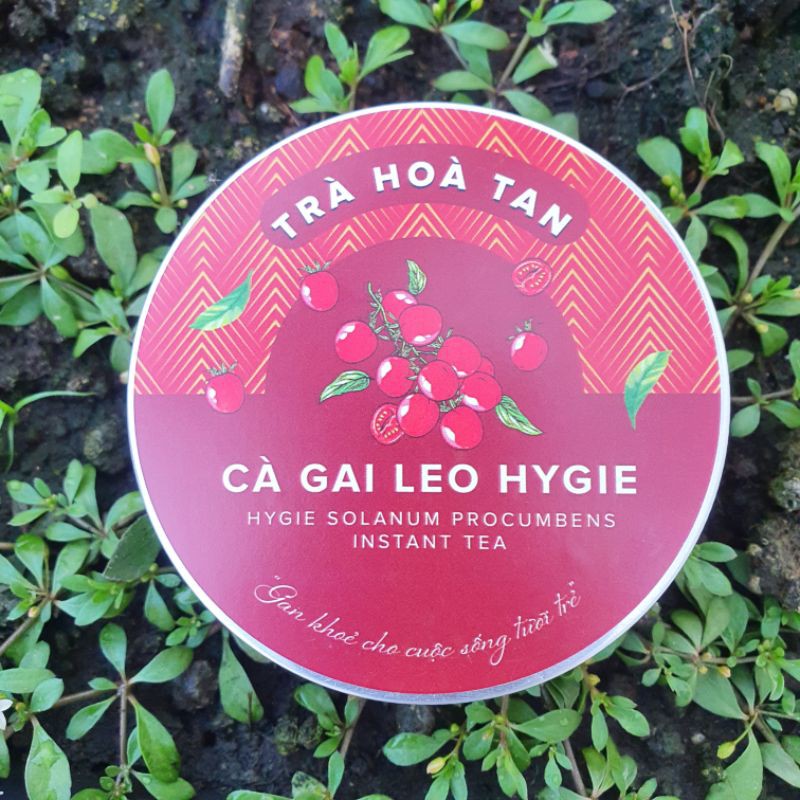 Trà Cà gai leo Hygie hòa tan | BigBuy360 - bigbuy360.vn