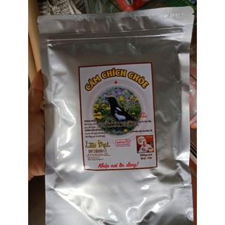 Cám chim lão đại (cám chích chòe)