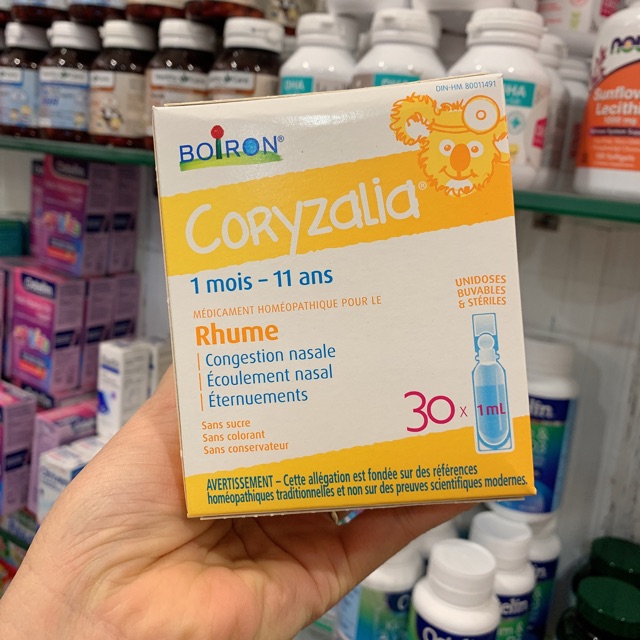 Tép muối Coryzalia