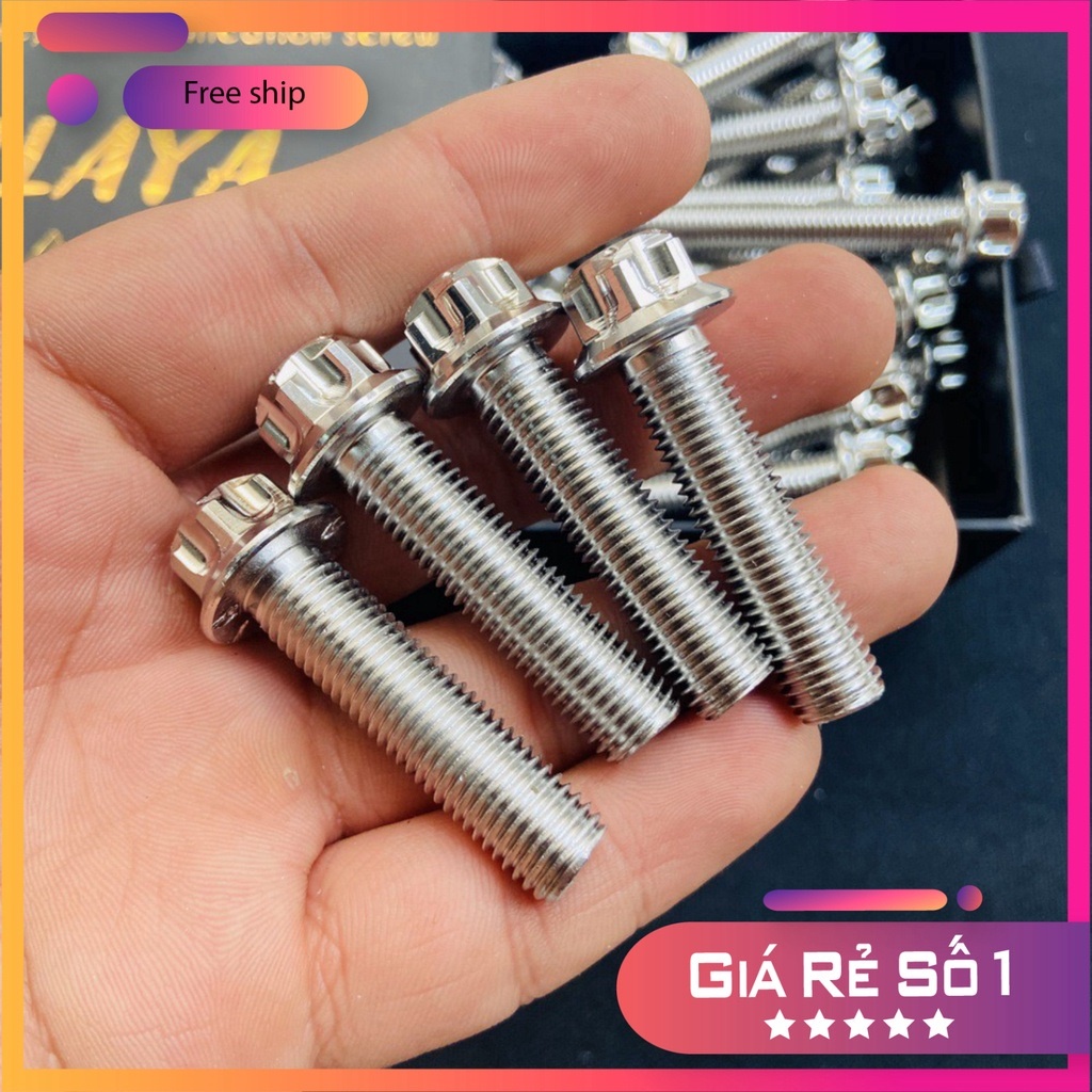 BỘ SƯU TẬP CÁC LOẠI ỐC SALAYA 10LY ĐẦY ĐỦ CÁC SIZE 10LY23 - 10LY4 - 10LY5 - 10LY6, BAO RỈ SÉT, BAO SÁNG BÓNG