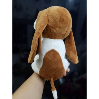 gấu bông con chó lạp xưởng