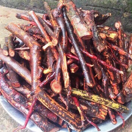 01 Kg cây MÚ TỪN- CÙ BOONG NẬU