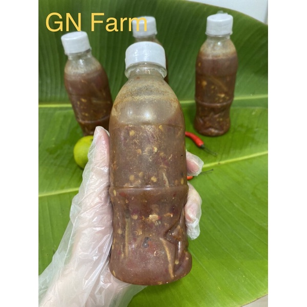 Mắm Cá Cơm Bình Định Có Gia Vị Mắm Siêu Ngon Chất Lượng - Chai 370ml