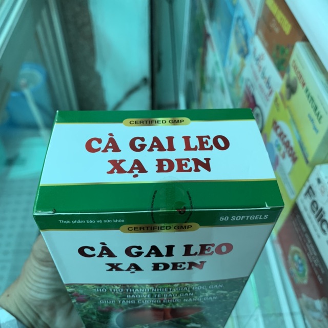 Cà gai leo xạ đen giải độc gan tăng cường chức năng gan hiệu quả hộp 60 viên