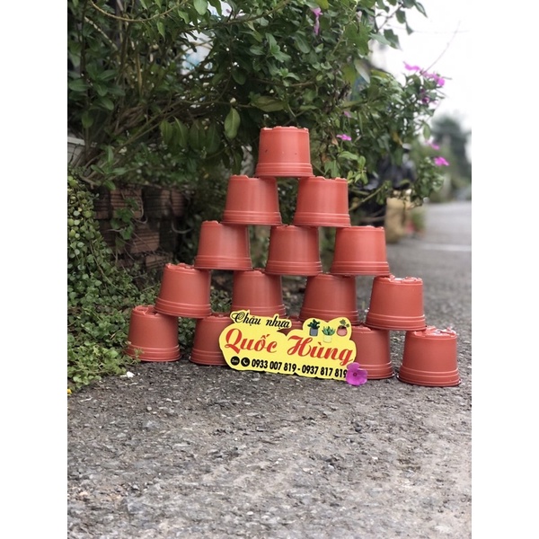 Chậu nhựa Nâu N10 trồng sen đá,xương rồng thương hiệu Quốc Hùng