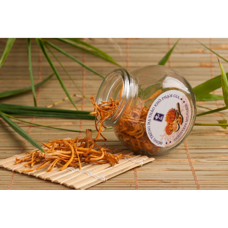 đông trùng hạ thảo Phạm Gia ( lọ 10g)