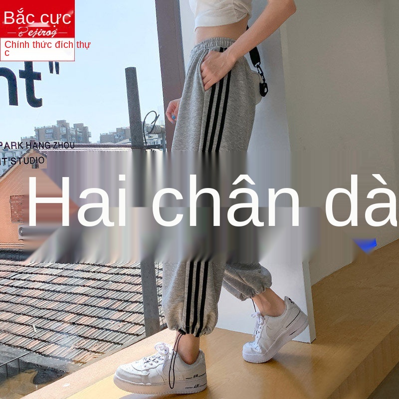 > Quần thể thao dành cho người béo cỡ lớn mm ống rộng của nữ- tất học sinh 200 kg âu mỏng hàn quốc hợp thời trang tr