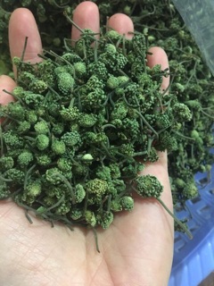 NỤ HOA TAM THẤT BẮC (500G)