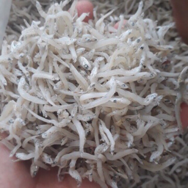 1kg cá cơm mờm sữa - cá cơm trắng - cá cơm khô