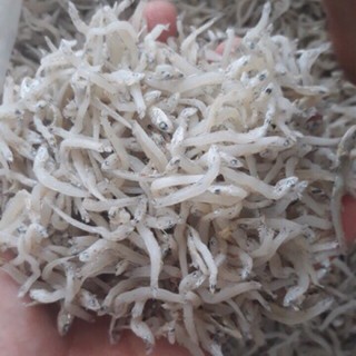 Cá Cơm Mờm Sữa (1kg gồm 2 túi đóng gói hút chân không) - Cá Cơm Mờm Nhỏ Trắng