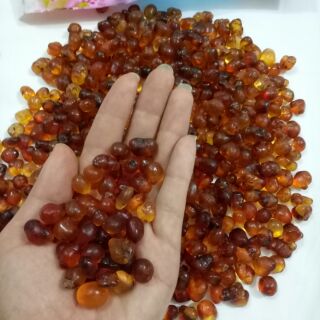 Combo nhựa đào thượng hạng 100g tuyết yến 100g bồ mễ 100g