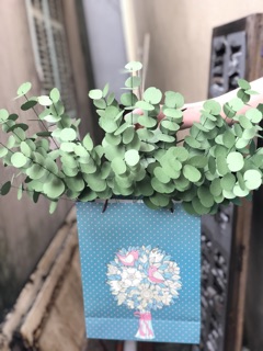 Lá táo giấy