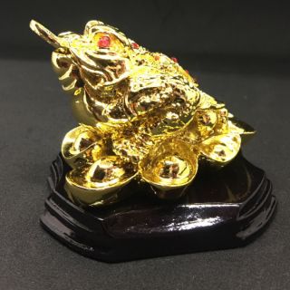 CÓC VÀNG THẦN TÀI MANG NHIỀU TÀI LỘC , THIỀM THỪ PHONG THUỶ