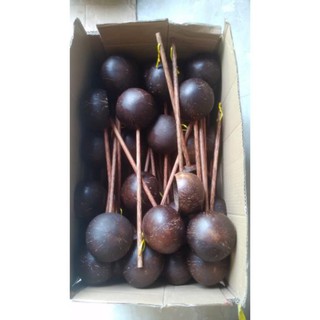 Gáo dừa/gáo dừa decor chụp hình