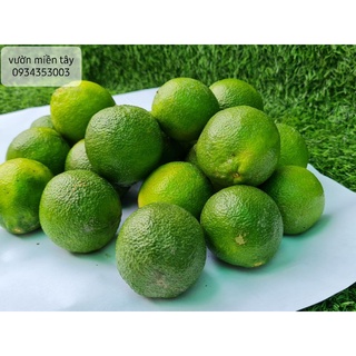 Chanh vườn miền Tây - 1kg