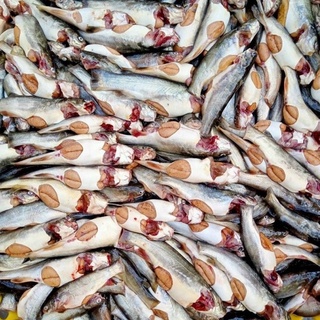 [Giao hỏa tốc HCM] Cá Chốt Trứng 500GR (Hàng loại 1)