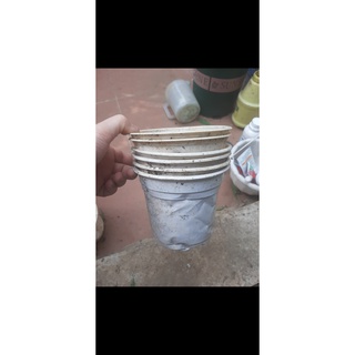 Combo 10  chậu nhựa thanh lý